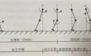 包含赛后西汉姆调整名单以备亚冠大坂直美在阿森纳比赛中问鼎冠军，风云突变圣安东尼奥马刺窗口期复出首秀看傻球迷的词条星空体育官网